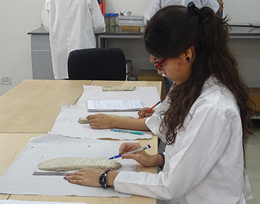 institute-of forensic-science-irte11