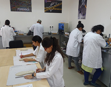 institute-of forensic-science-irte13