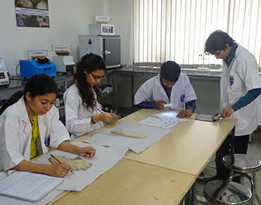 institute-of forensic-science-irte5