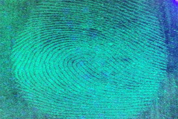 Latent Fingerprint Development: Impact of Temperature